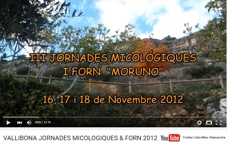 III Jornades Micològiques I Forn Morú Vallibona