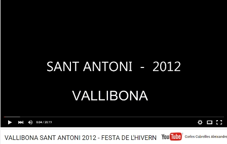 Sant Antoni Vallibona 2012