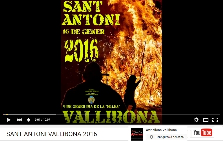 Sant Antoni Vallibona 2016